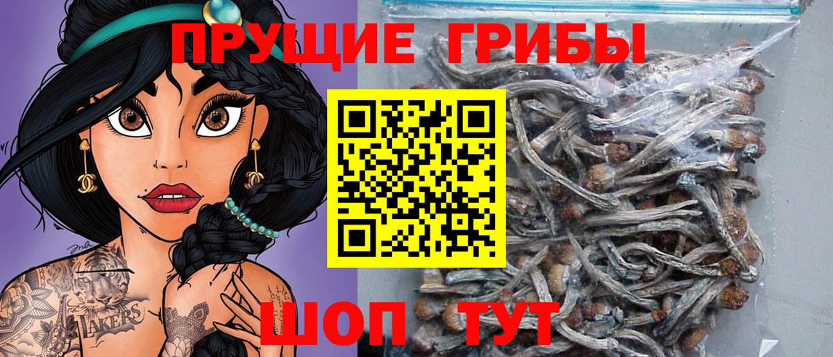Галлюциногенные грибы Magic Shrooms Красноуфимск